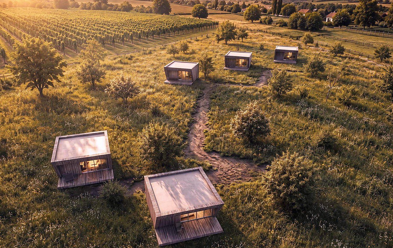Five lodges spaced through meadow grass on the upper land, seen from the air, vineyard rows beyond